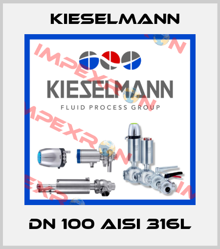 DN 100 AISI 316L Kieselmann