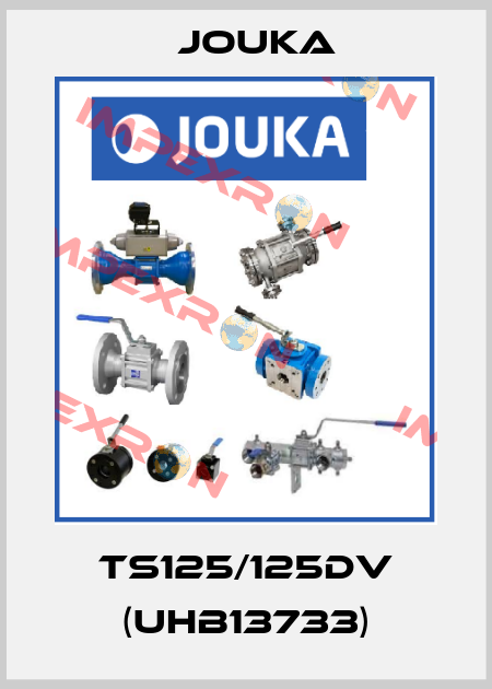 TS125/125DV (UHB13733) Jouka