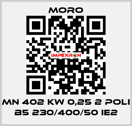 MN 402 KW 0,25 2 POLI B5 230/400/50 IE2 Moro