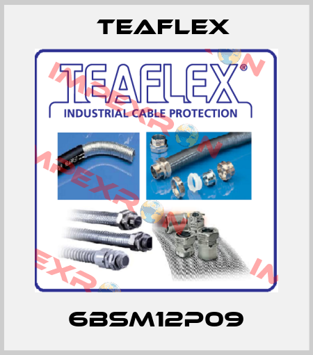 6BSM12P09 Teaflex