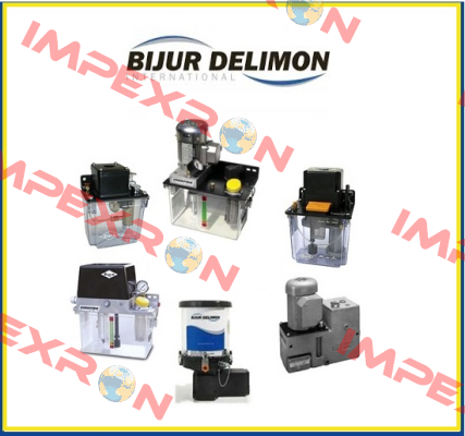 29185 Bijur Delimon