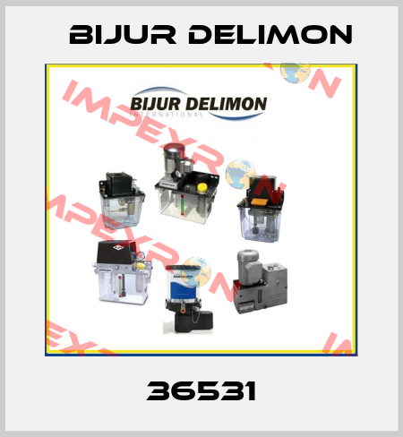 36531 Bijur Delimon