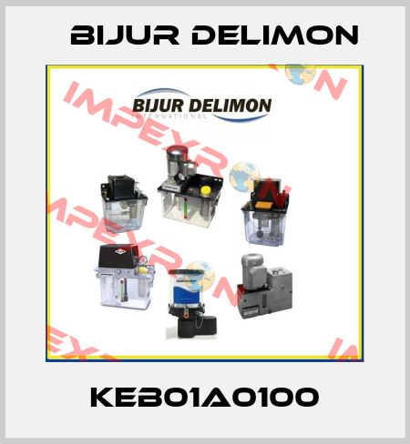KEB01A0100 Bijur Delimon
