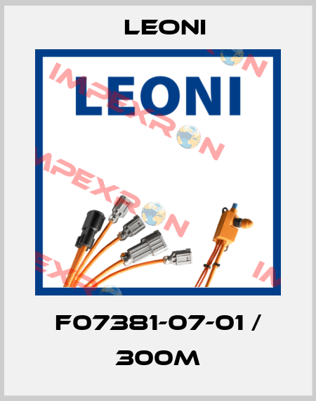 F07381-07-01 / 300m Leoni