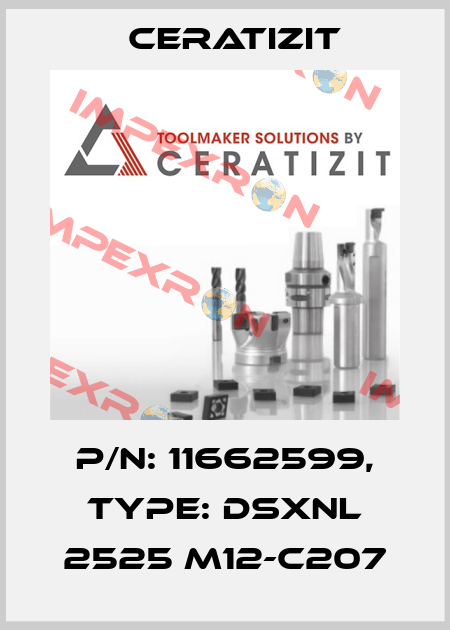 P/N: 11662599, Type: DSXNL 2525 M12-C207 Ceratizit