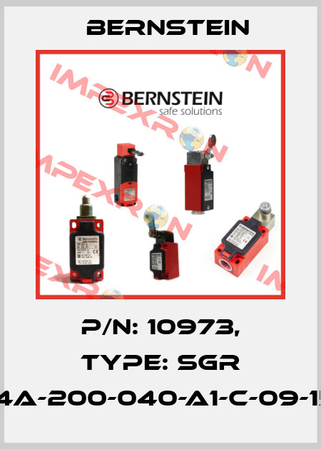 P/N: 10973, Type: SGR 14a-200-040-A1-C-09-15 Bernstein