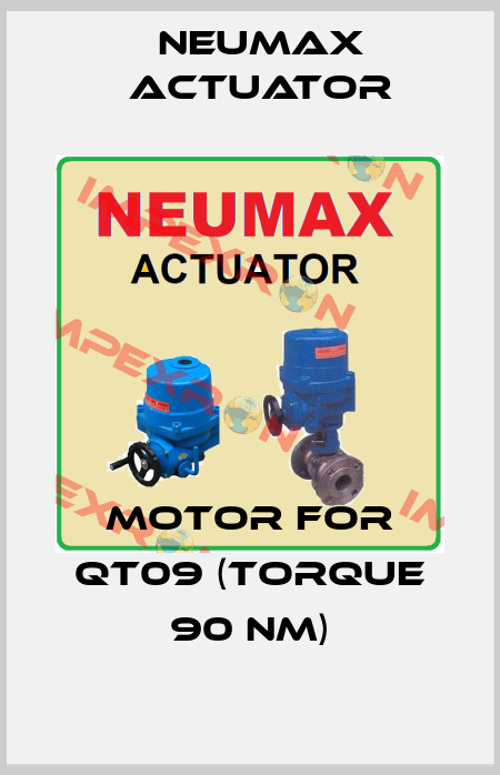 motor for QT09 (Torque 90 Nm) Neumax Actuator