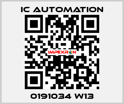 0191034 W13 ic automation