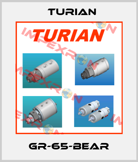 GR-65-BEAR Turian
