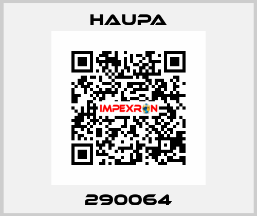 290064 Haupa