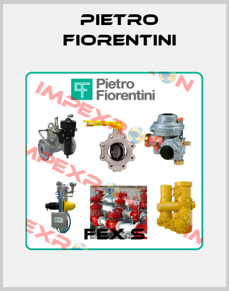 FEX S Pietro Fiorentini
