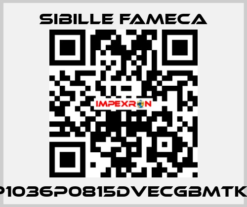 VDP1036P0815DVECGBMTKRI1T Sibille Fameca