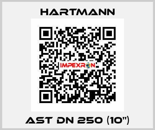 AST DN 250 (10") Hartmann