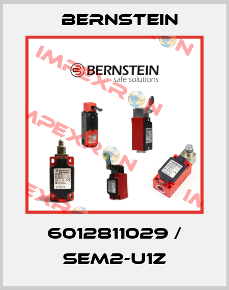 6012811029 / SEM2-U1Z Bernstein