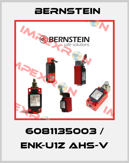 6081135003 / ENK-U1Z AHS-V Bernstein