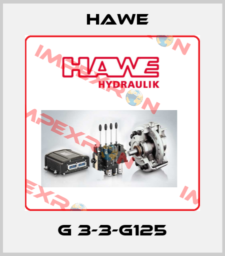 G 3-3-G125 Hawe