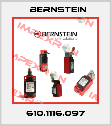 610.1116.097 Bernstein