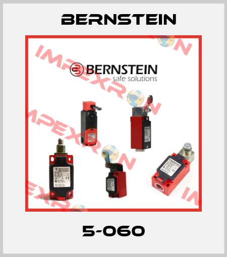 5-060 Bernstein