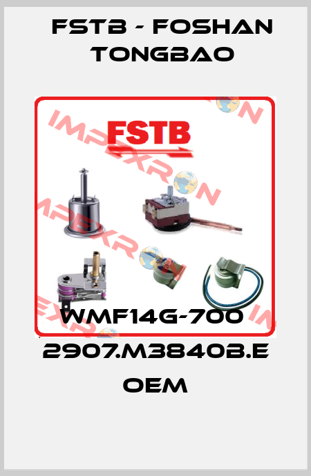WMF14G-700  2907.M3840B.E OEM FSTB - Foshan Tongbao