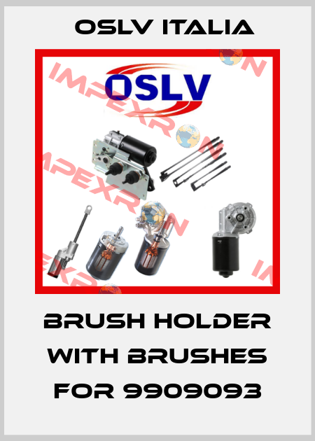 brush holder with brushes for 9909093 OSLV Italia