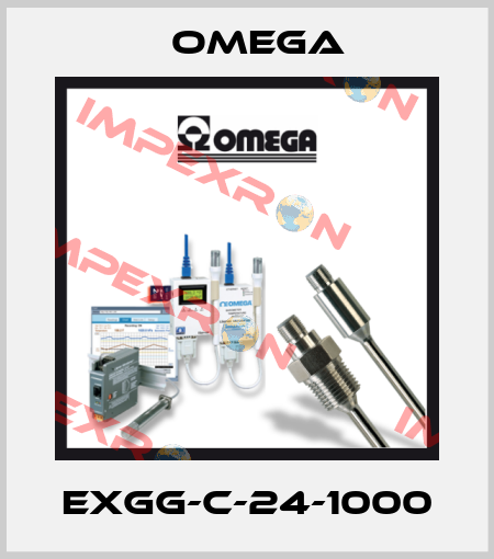 EXGG-C-24-1000 Omega