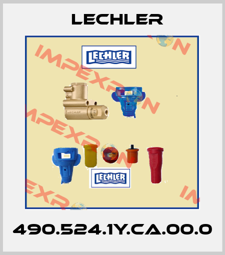 490.524.1Y.CA.00.0 Lechler