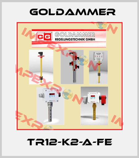  TR12-K2-A-FE Goldammer