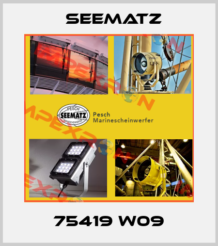 75419 W09 Seematz
