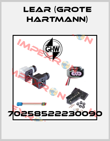 70258522230090 Lear (Grote Hartmann)