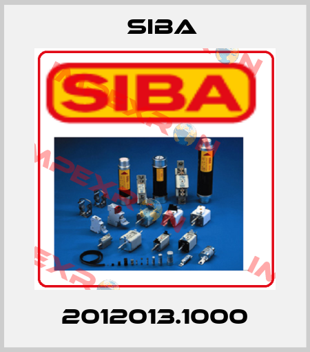 2012013.1000 Siba