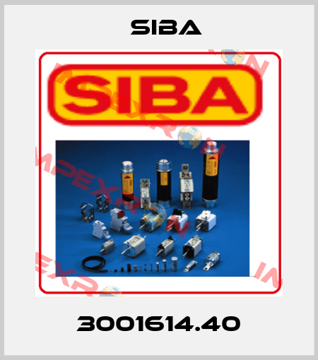 3001614.40 Siba