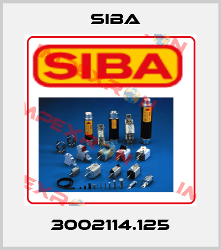 3002114.125 Siba