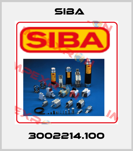 3002214.100 Siba
