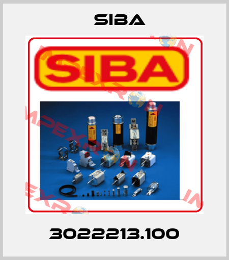 3022213.100 Siba