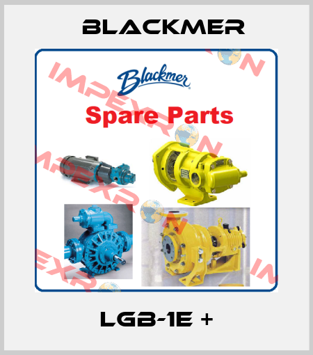 lgb-1E + Blackmer