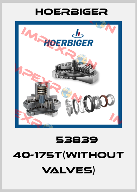НВ 53839 40-175t(without valves) Hoerbiger
