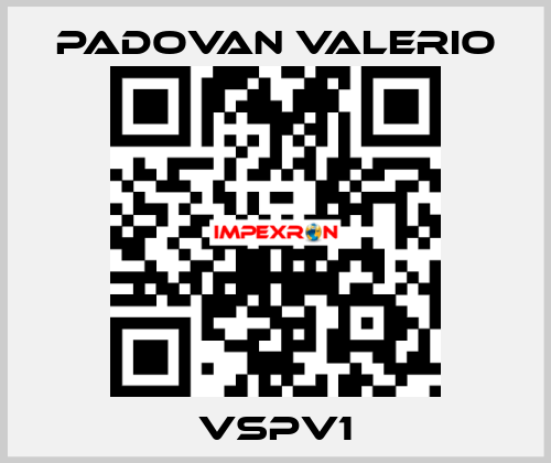 VSPV1 PADOVAN VALERIO