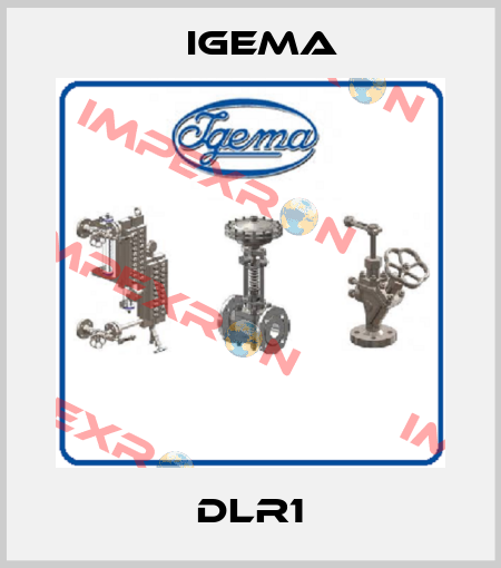 DLR1 Igema