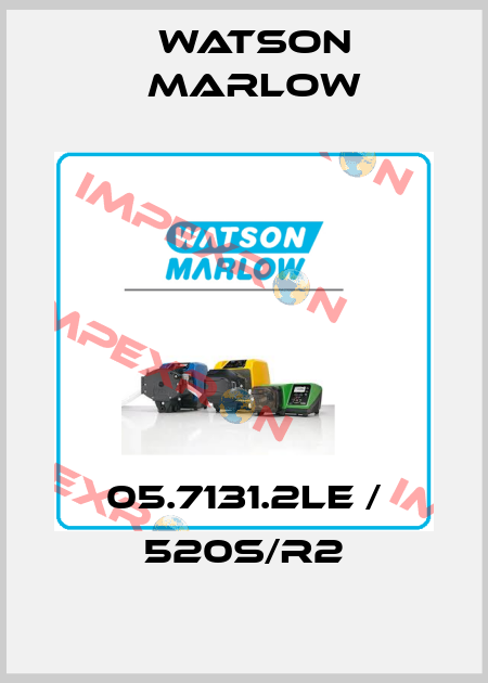 05.7131.2LE / 520S/R2 Watson Marlow