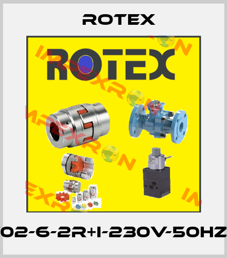 57450V02-6-2R+I-230V-50HZ-37-H-01 Rotex