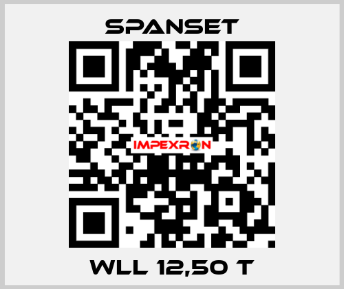 WLL 12,50 t SpanSet