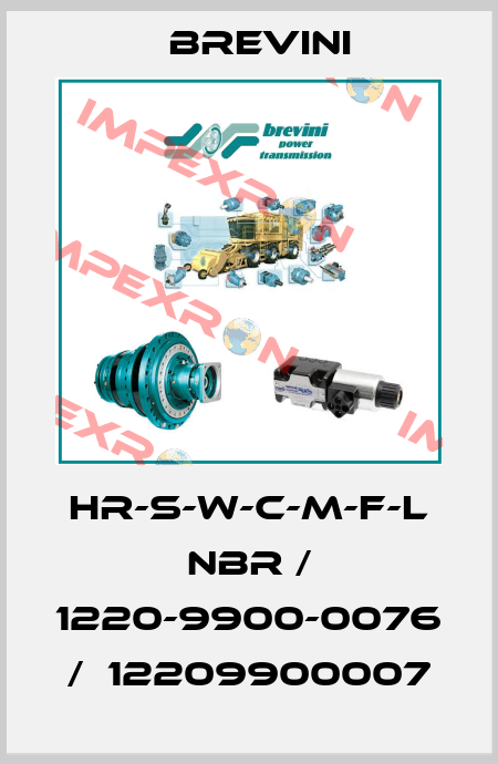 HR-S-W-C-M-F-L NBR / 1220-9900-0076 /  12209900007 Brevini