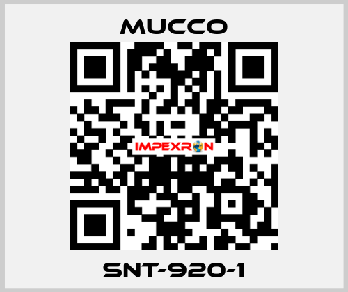 SNT-920-1 mucco