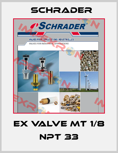 EX VALVE MT 1/8 NPT 33 Schrader