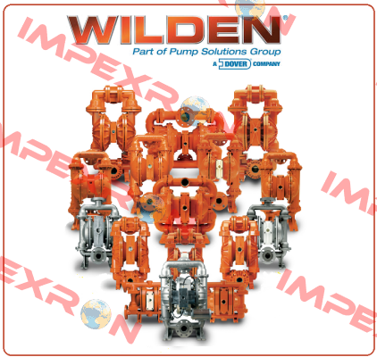 PUMP P200M(SLLL/TS/TF/STF/014) Wilden