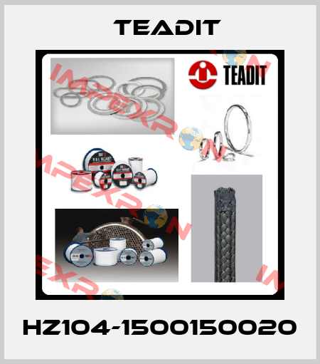 HZ104-1500150020 Teadit
