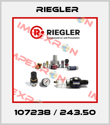 107238 / 243.50 Riegler