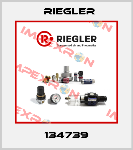 134739 Riegler