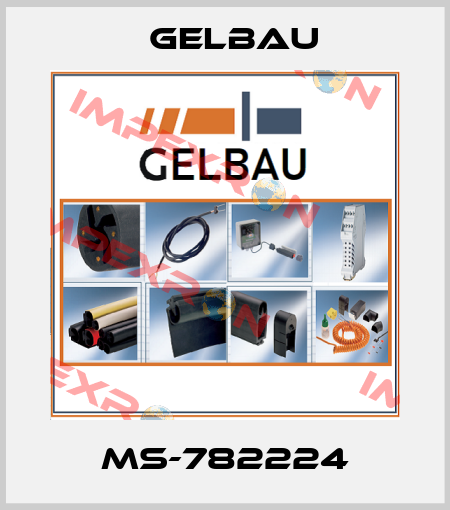 MS-782224 Gelbau