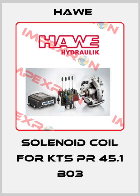 solenoid coil for KTS PR 45.1 B03 Hawe